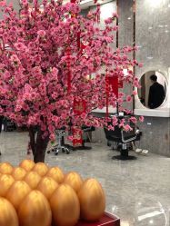 -Meng Lang 梦郎白金店
