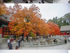 -香山公园