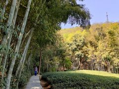 -敬亭山风景名胜区