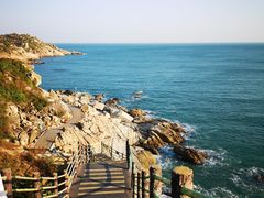 -广东惠东海龟国家级自然保护区