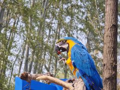 -北京野生动物园