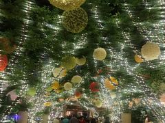 -拉斯维加斯永利酒店