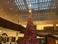 -北京望京凯悦酒店The Lounge大堂酒廊