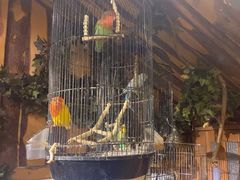 -西西里轰趴日租聚会别墅·团建拓展