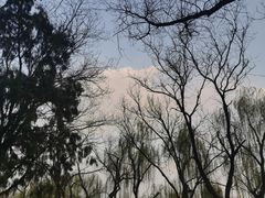 -迎泽公园