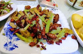Dry-Fried Large Silkworm Pupae