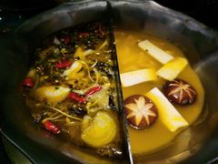 红颜花胶鸡锅-湊湊火锅·茶憩(东城万达店)