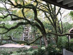-香港大学