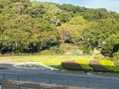 -深圳野生动物园
