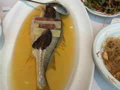-张生记(丁香国际店)