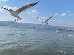 -滇池海埂公园