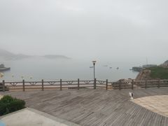 -枸杞岛