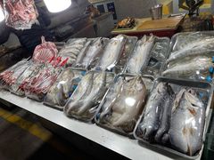 -新疆风味冷水鱼庄(友谊峰路店)