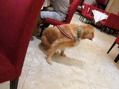 -御信客家王(洛溪店)