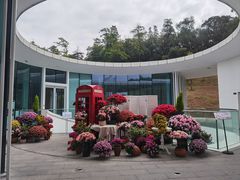-云溪植物园