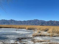 -野鸭湖国家湿地公园