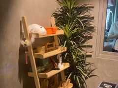 -施奈儿.洗头頭療.按摩SPA.采耳(上梅林店)