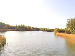 -大兴滨河森林公园