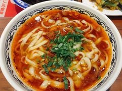 -韩师傅老大同刀削面(北苑路店)