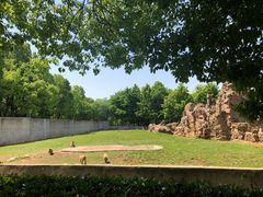 -合肥野生动物园