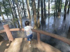 -东湖落雁景区