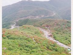 -大围山国家森林公园