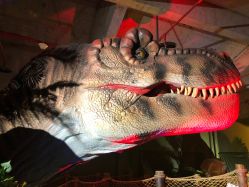 -恐龙探索乐园(磁器口店)