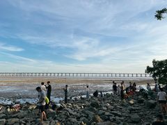 -宝安西湾红树林湿地公园