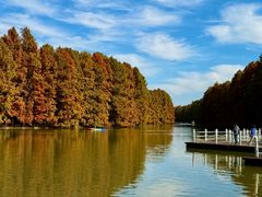 -上海海湾国家森林公园