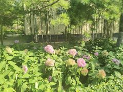 -中国农业博物馆