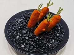 -丁老爷子苏香圆