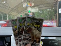 -秦皇岛野生动物园