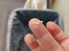 -小胖包子王(阜成门内店)