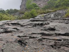 -花岙岛