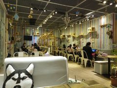 大堂-小时光咖啡馆(开森度假森林店)