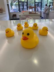-宝生月子中心·独栋独院式(南山店)