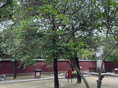 -永乐宫
