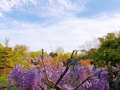 -吴淞炮台湾湿地森林公园烧烤区