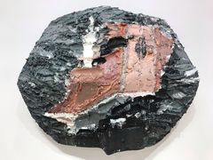 -香港会议展览中心演讲厅