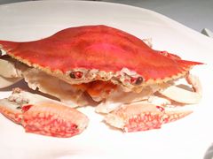 -台州渔港黄鱼馆(徐汇店)