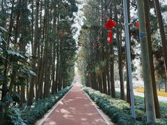 -上海长兴岛郊野公园