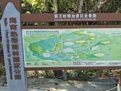 -霸王岭国家森林公园