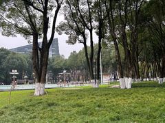 -重庆市江北嘴中央商务区中央公园