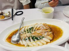 -骏莱海鲜鱼港(五角场店)