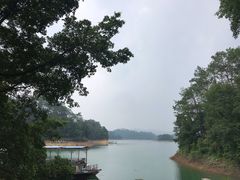 -广州市流溪河国家森林公园