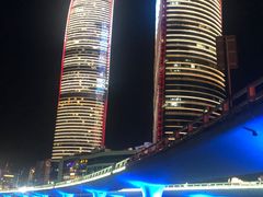 -演武大桥观景平台