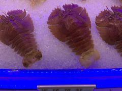 -澜悦港海鲜体验主题餐厅