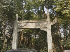 -紫金山山顶公园