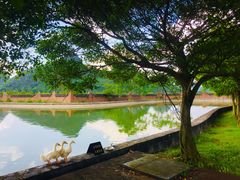 -Club Med地中海俱乐部·桂林度假村