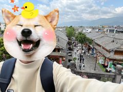 -嘉华鲜花饼(大理元帅府店)